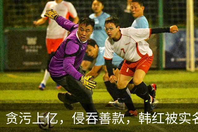 贪污上亿，侵吞善款，韩红被实名举报，6年了有人给她道歉吗？